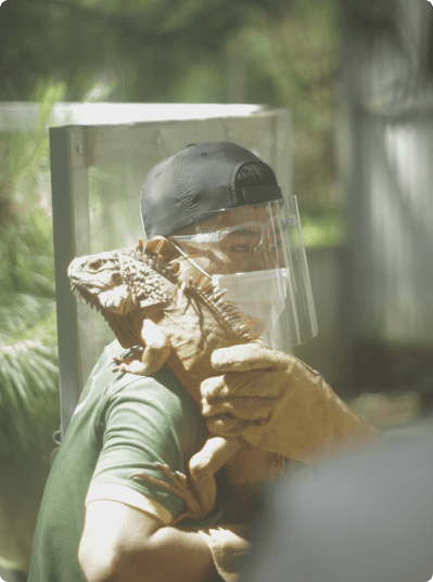 Trần Lê Quốc Thanh — Zookeeper